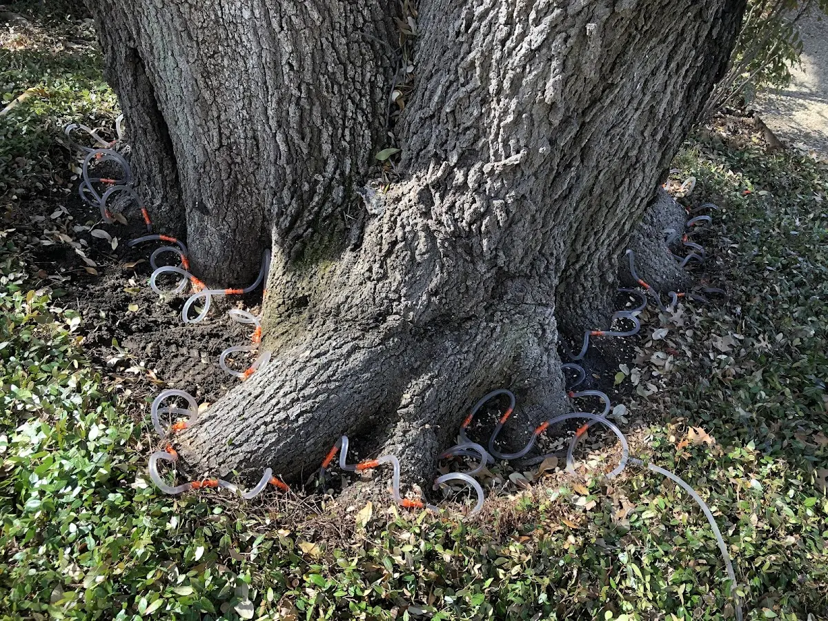 Detailed Shrub and Hedge Trimming job site in Overgaard